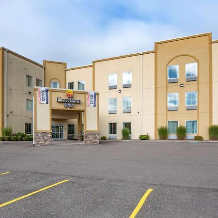 Comfort Inn Apalachin - Binghamton W Route 17 Exterior foto