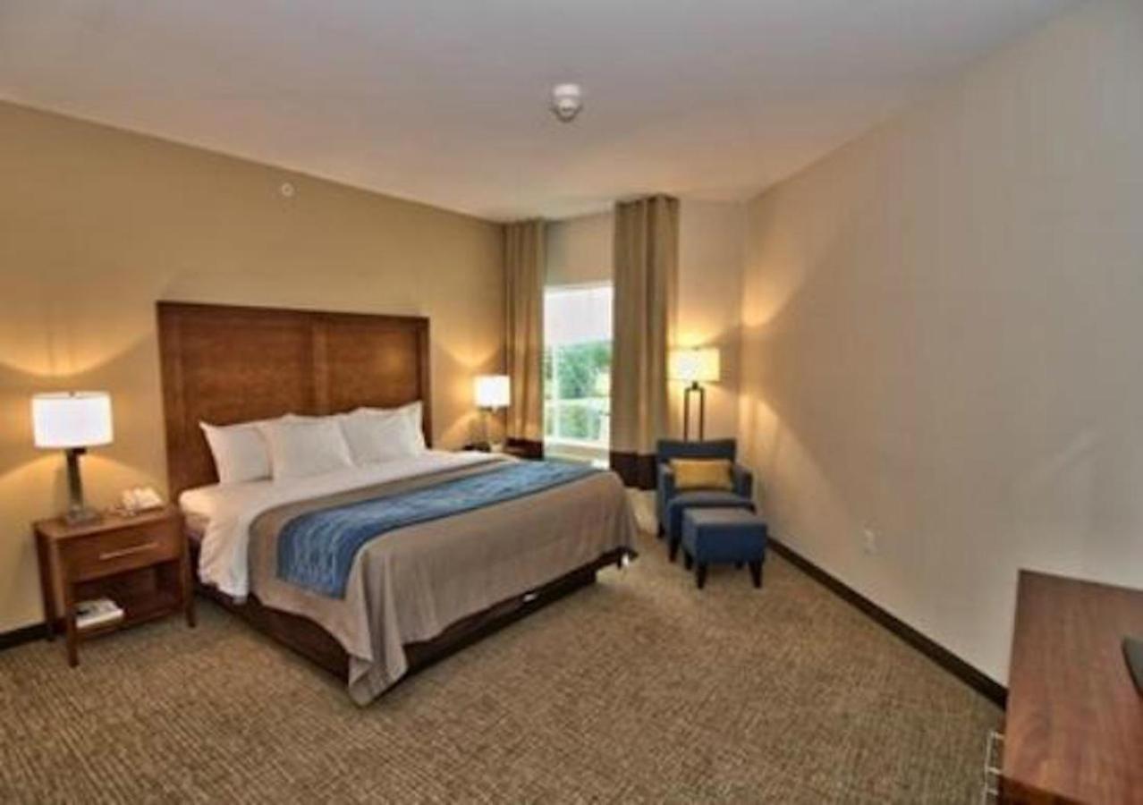 Comfort Inn Apalachin - Binghamton W Route 17 Exterior foto