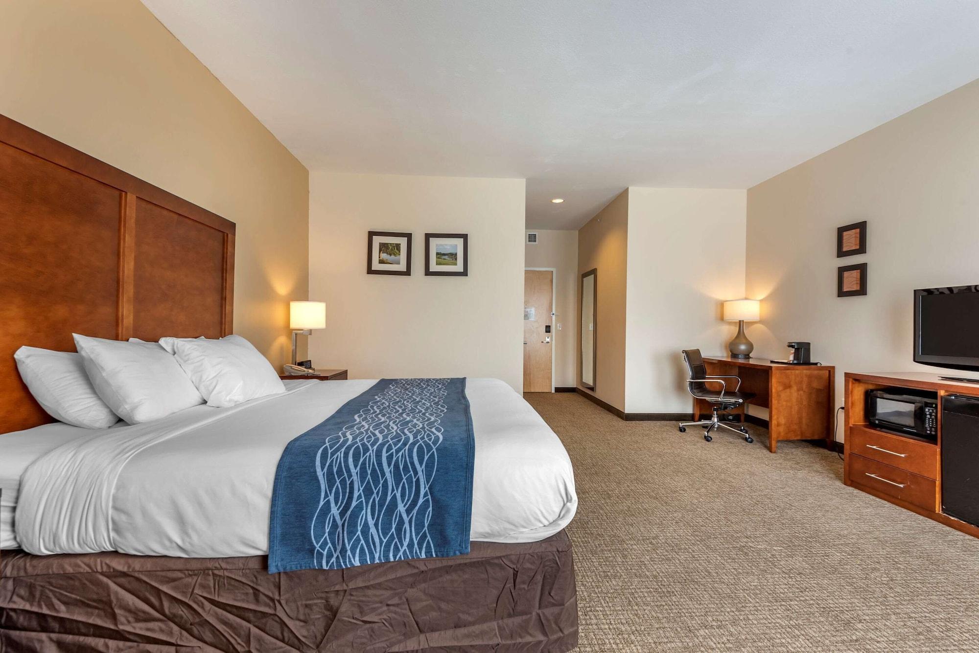 Comfort Inn Apalachin - Binghamton W Route 17 Exterior foto